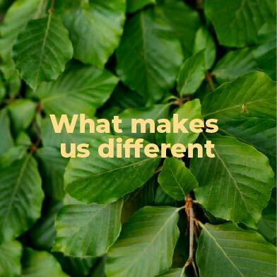 WhatMakesUsDifferent